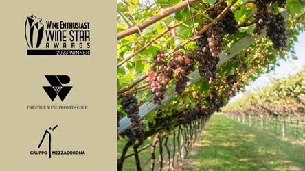 , Prestige Wine Imports Named “Importer of the Year” in Wine Enthusiast’s 2023 Wine Star Awards