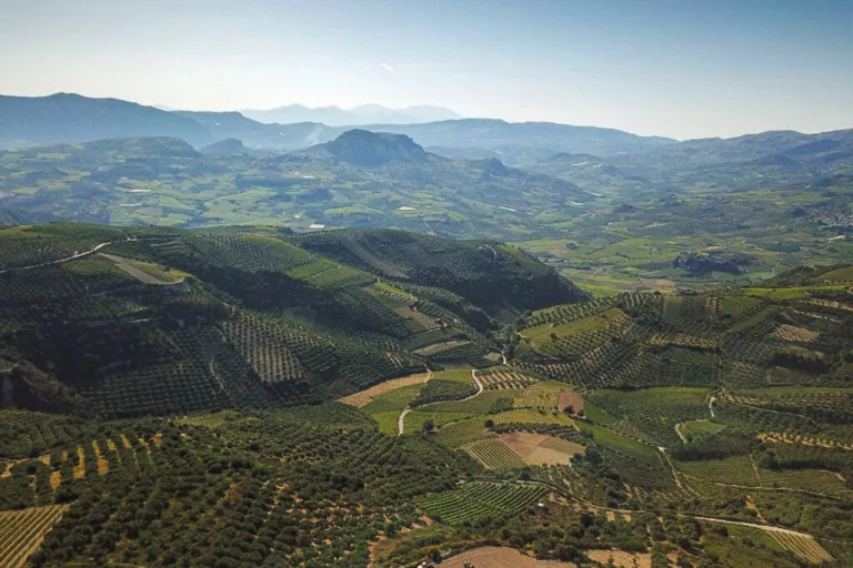 7 Up-and-Coming Wine Regions That Should Be on Your Radar