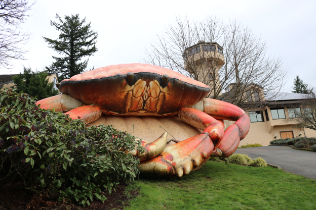 Mo’s Seafood and Chowder Festival Returns to Willamette Valley Vineyards After a 3-Year Pause