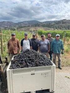 BC Winemaker’s Harvest 2023 Interview