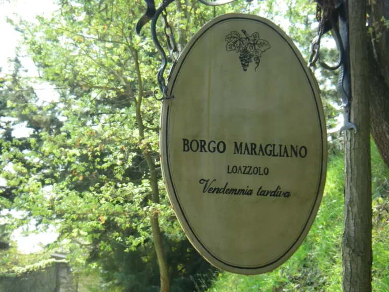 Explore Sparkling Wines from Alta Langa DOCG with Borgo Maragliano