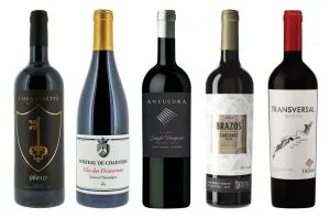 , International Cabernet Franc day: the best bottles to celebrate with