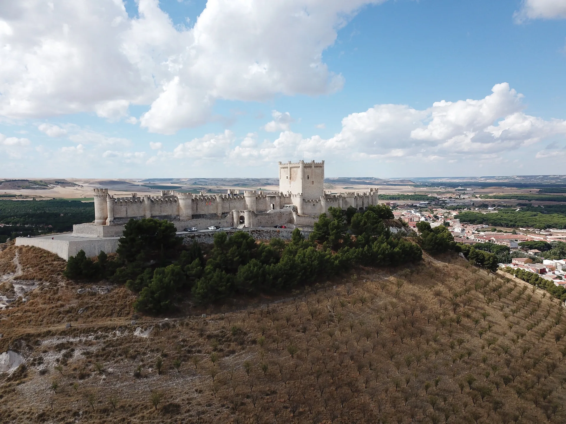 , How Ribera del Duero are showcasing the area’s potential