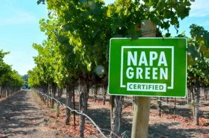 Napa sustainability certification body to require phaseout of Roundup