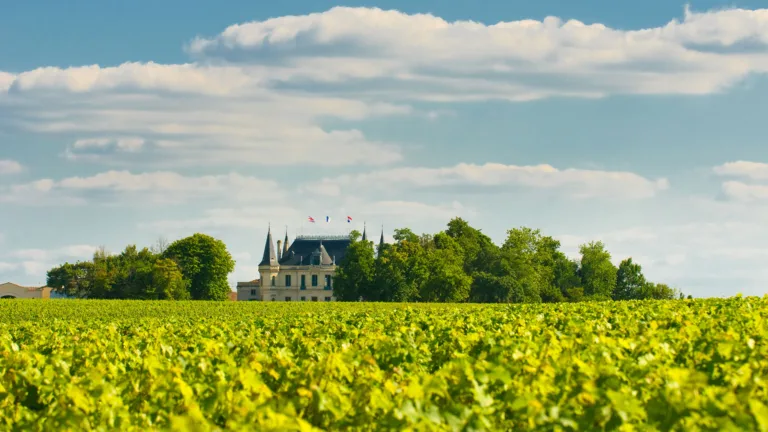 AI Correctly Identifies Bordeaux Wine Chateaus, But Does This Prove Terroir Is Real?