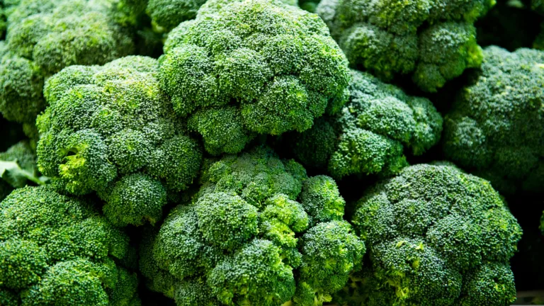 Bubble Gum-Flavored Broccoli: The McDonald’s Menu Item That Nearly Was