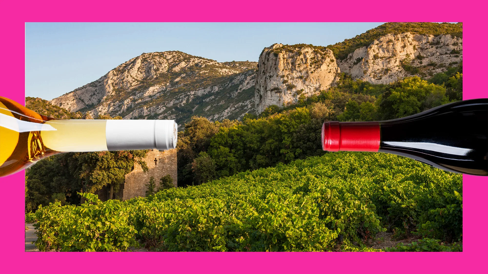 , 10 of the Best Red Wines From France’s Languedoc