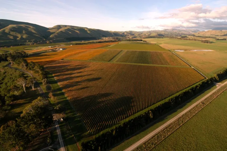 Adventures in the Wairarapa wine region