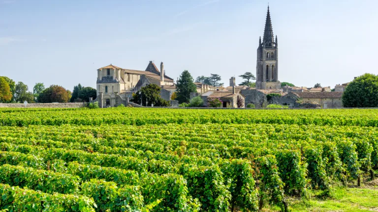 Wine 101: Bordeaux: Part II The Dutch and the Médoc