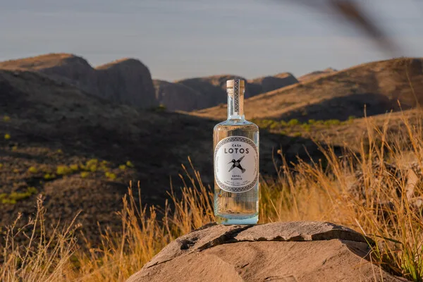 Casa Lotos, A New-to-Market 100% Pure Sotol Made from the Wild Native Plant of Chihuahua, Mexico, Announces its Official Entry into US Market with Blanco Offering