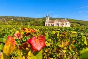 2022 Burgundy: Côte Chalonnaise, Mâconnais, and Beaujolais tasting notes