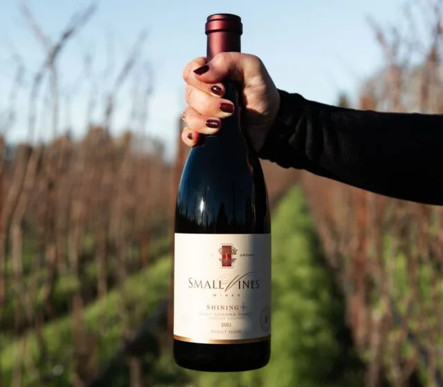 Introducing Small Vines’ Inaugural Vintage of the 2021 Shining S Pinot Noir