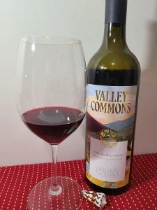 Quick Review: BC’s Valley Commons Cabernet Franc 2018