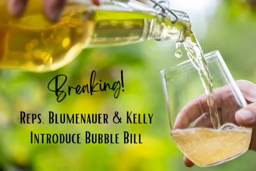 Representatives Blumenauer &amp; Kelly Introduce the Bubble Tax Modernization Act