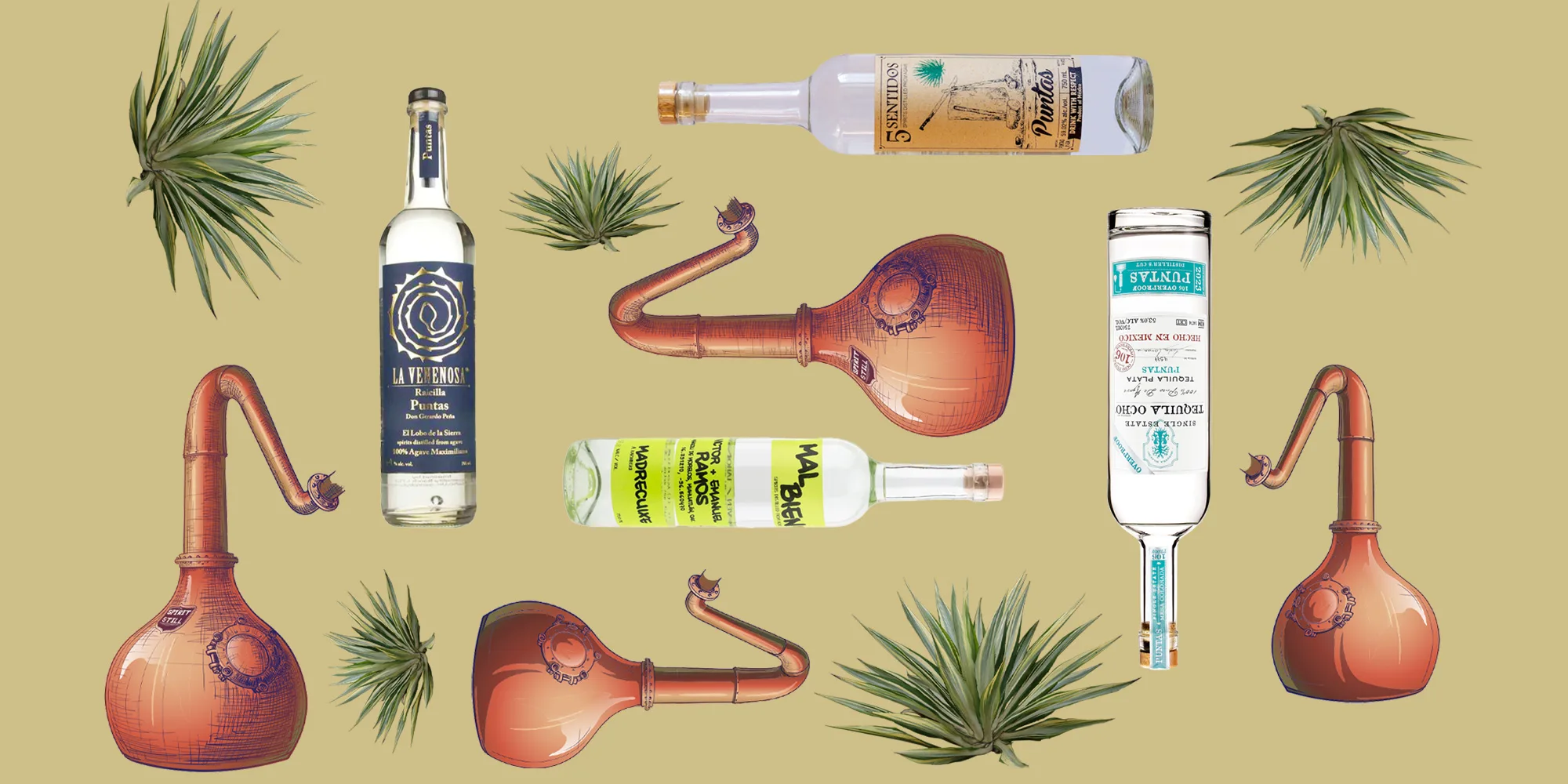 , Puntas — a High-ABV, Hyper-Traditional Style of Mezcal — Is Going Commercial