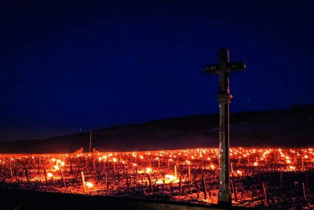 Domaine de la Romanée-Conti 2021: elegance in the face of adversity