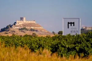 Bodegas Resalte – Reinterpreting Ribera del Duero