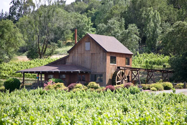 Mill Creek Vineyards &amp; Winery Celebrates 50 Years of Winemaking