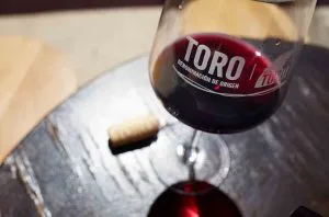 Toro, a historical DO for the future