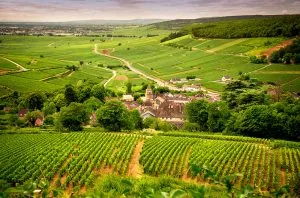 Demand for Burgundy 2022 wines better than expected – Liv-ex