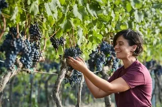 A.O.C. In Brentwood Presents La Festa Della Donna in Celebration of the Italian Festival of Women