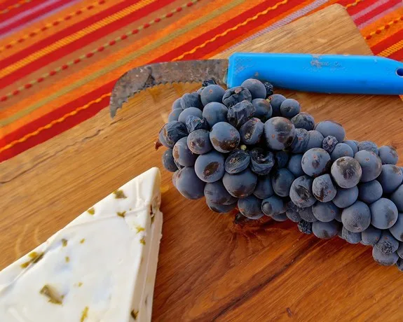 Favorite Lodi Zinfandel and cheese matches