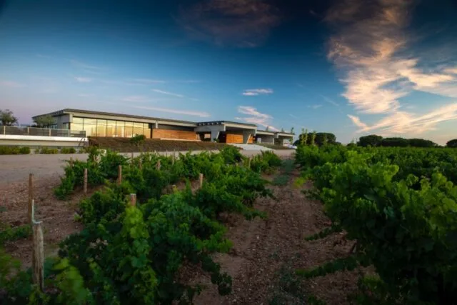 Fifth González Byass Winery Obtains Sustainability Certification