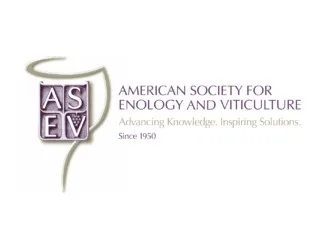 2024 ASEV Best Papers Award Winners