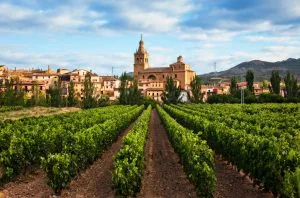 Rioja adopts new village and vineyard designations