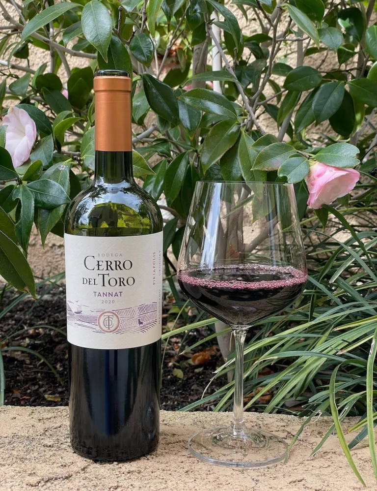 Behind the Cork™ &#8211; Bodega Cerro del Toro Tannat