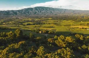 Ventoux AOC &#8211; The rising star of the Rhône