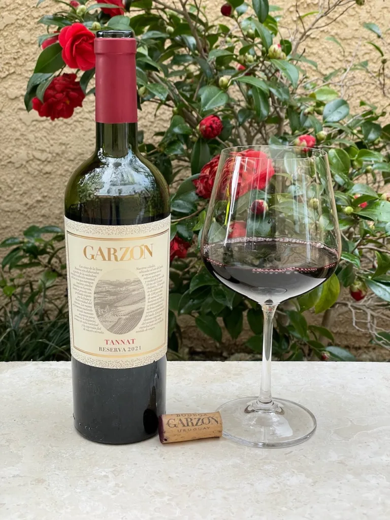 Behind the Cork™ &#8211; Bodega Garzon Tannat Reserva