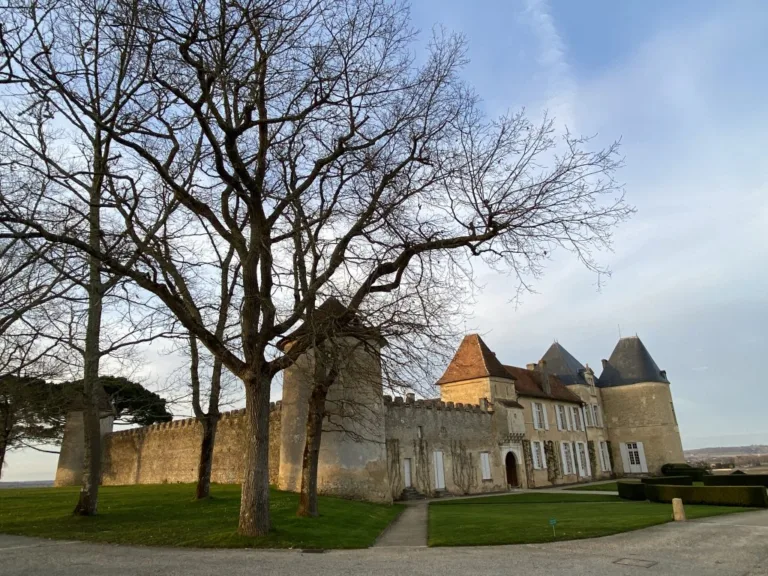 ‘Yquem day’ sees release of fabulously fresh and crystalline 2021 vintage