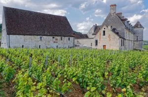 Hospices de Nuits 2024 charity auction raises more than €2m