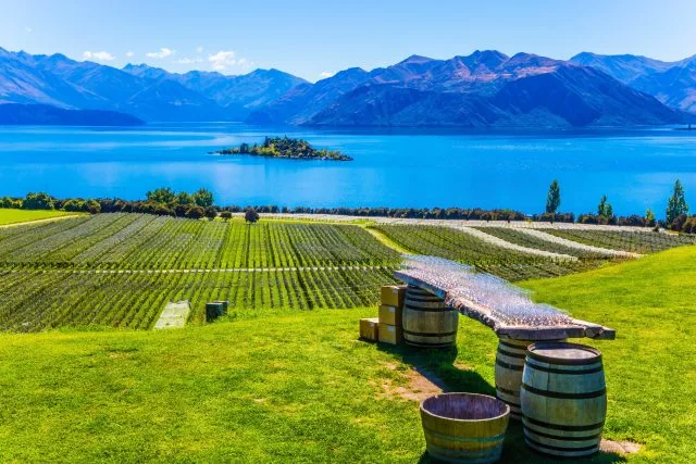 Will organic wine be hit hardest by New Zealand shortage?