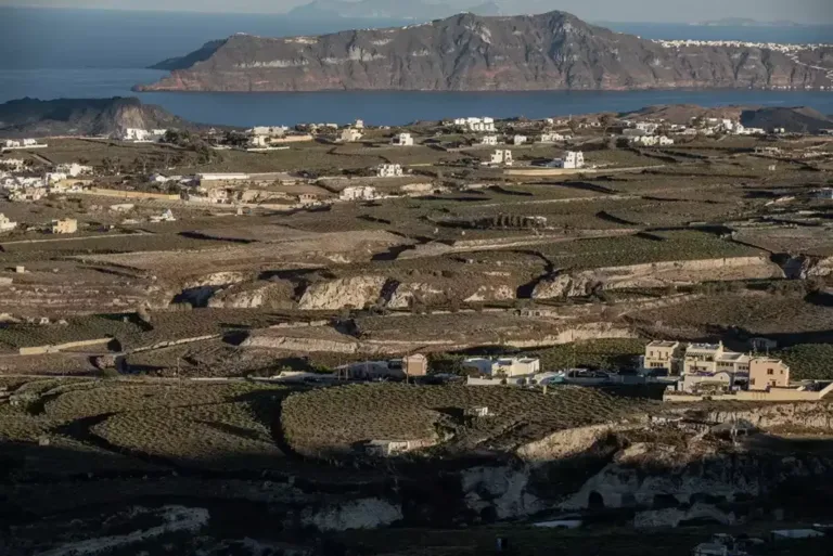 Assyrtiko: A great Greek grape comes of age