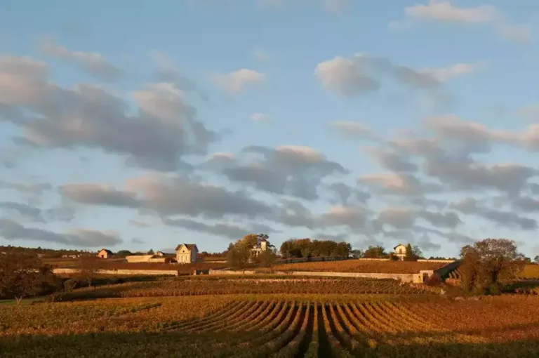 Jean-Marc Roulot Meursault Tessons Clos de Mon Plaisir 1996–2017: Quel plaisir