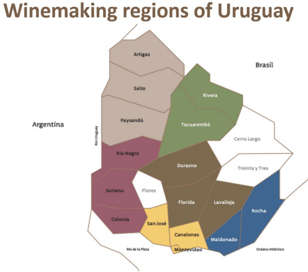 , Uruguay&#8217;s Wine Country