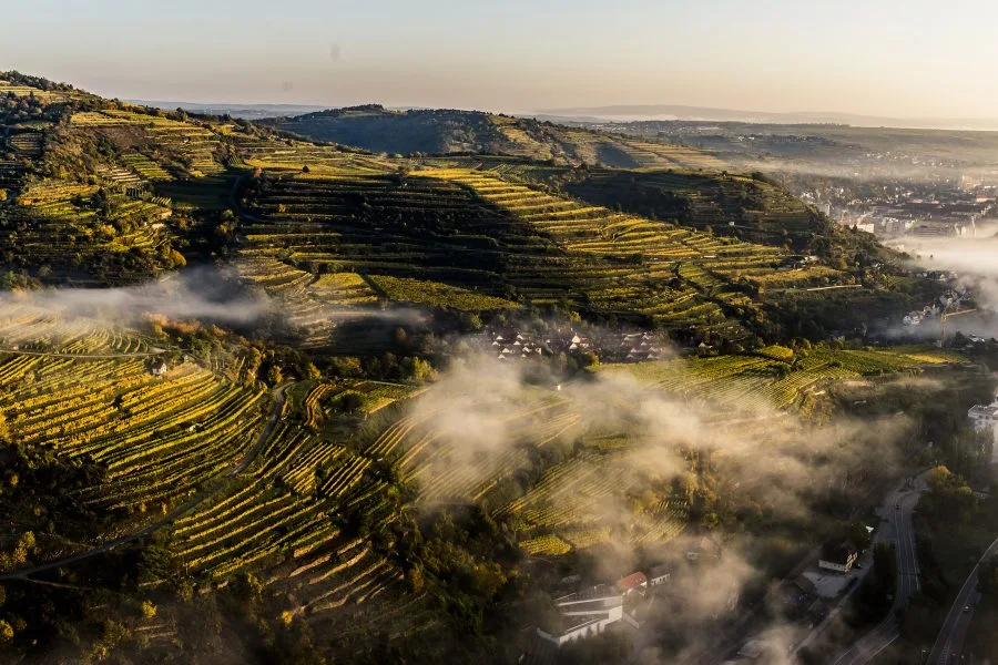 , Austria launches new classification of top vineyards