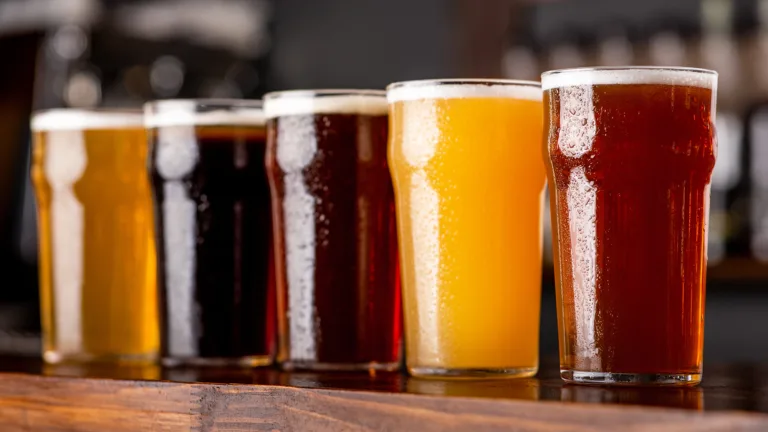 We Asked 8 Beer Pros: Which Beer Do You Wish People Ordered More? (2024)