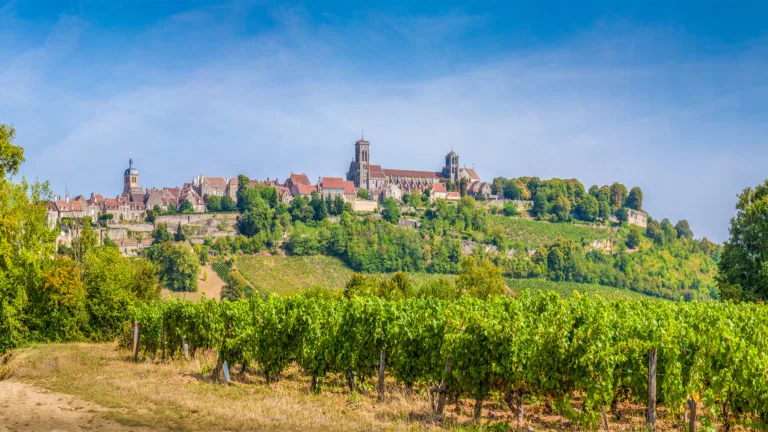 Wine 101: Burgundy Part I: Chieftains and the Mediterranean