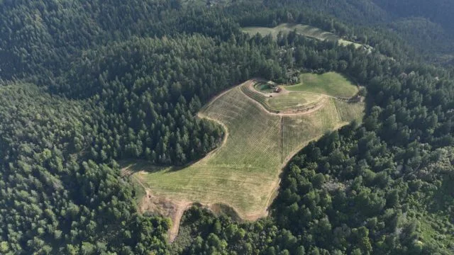 Signal Ridge Vineyard, Dubbed “The Crown Jewel of the Mendocino Ridge AVA” and a “Grower and Producer to Watch” by Decanter Magazine, Releases its 2021 Pinot Noir and First-Ever Chardonnay 