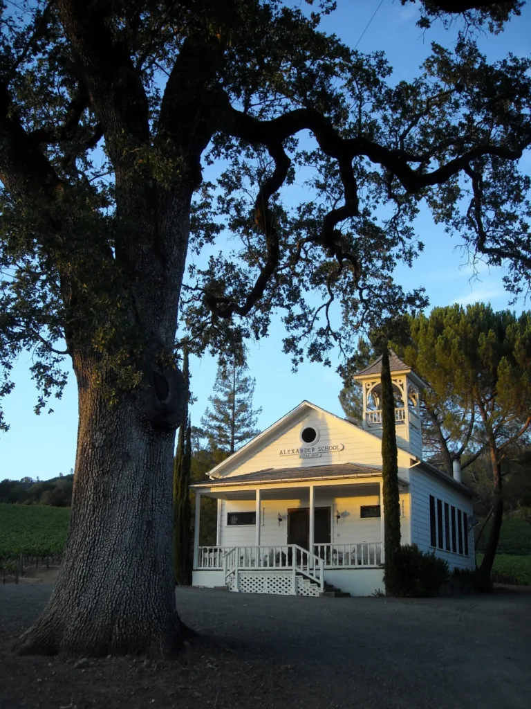 Icons of the Alexander Valley AVA