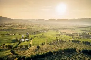 Umbria: A wine lover&#8217;s guide