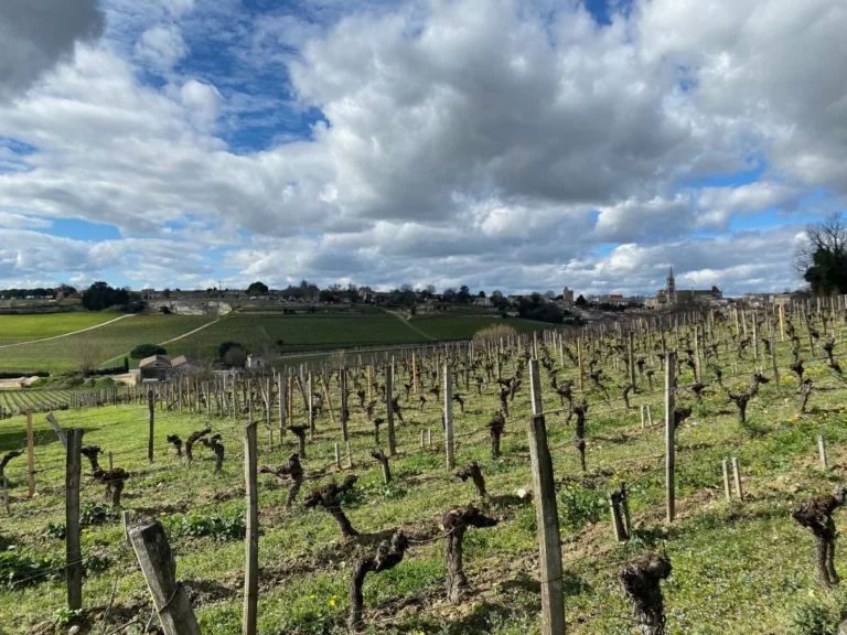 Bordeaux vintage report part 2: a vintage of reactivity, vigilance and surveillance