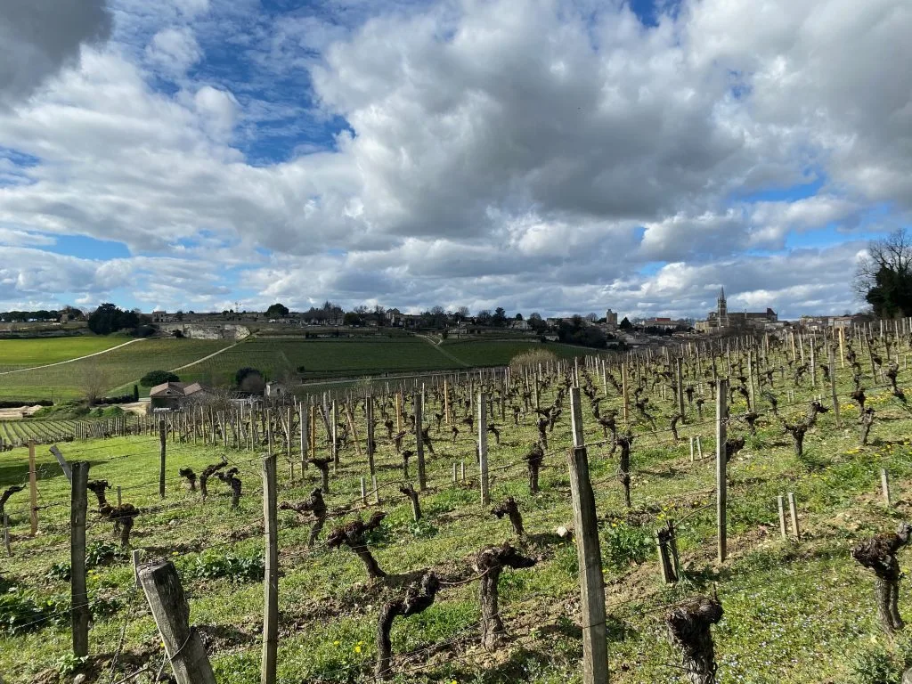 , Bordeaux vintage report part 2: a vintage of reactivity, vigilance and surveillance