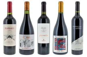 Argentina: Award-winning wines to celebrate Malbec World Day