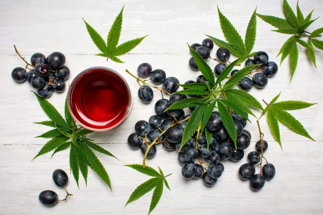 Is the industry ready for CBD wine?