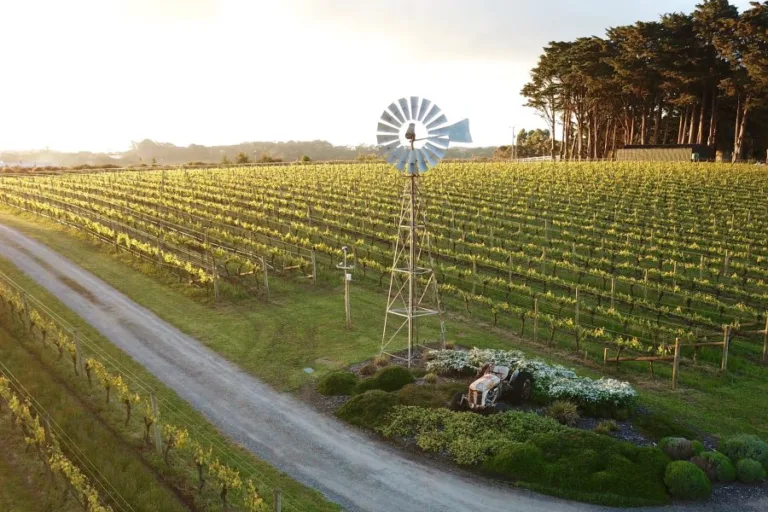 10 discoveries from the Top Wineries of Australia 2024