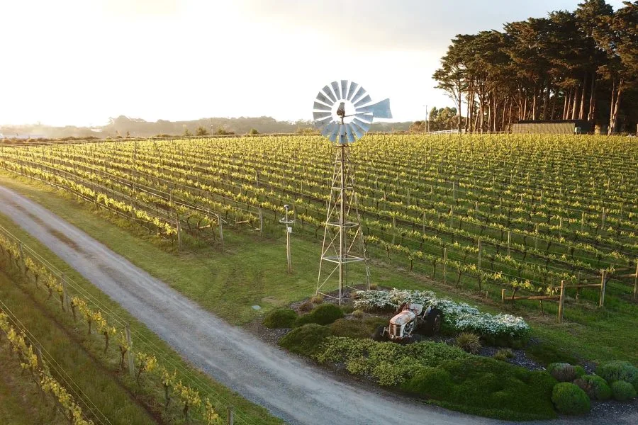 , 10 discoveries from the Top Wineries of Australia 2024